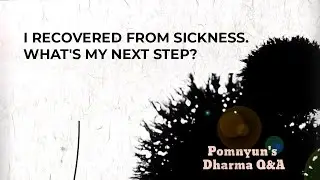 (IND SUB) I Recovered from Sickness. What's my Next Step?