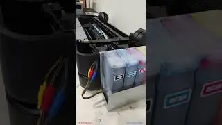 HP DesignJet T250 + CISS Chipless