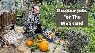 October Garden Jobs For The Weekend UK - Vegetable Gardening For Beginners At Home