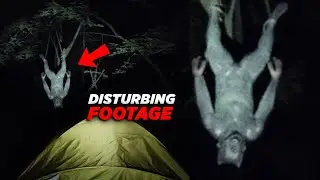 Trail Cameras Caught THIS at Night &mdash; Viewers Are Terrified