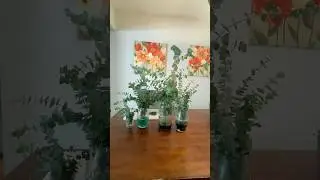 Preserving Eucalyptus 🌿 Easy Method with Glycerin