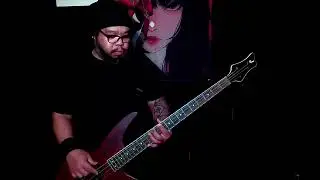 Arctic Monkeys - 505 (Bass Cover)
