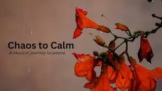 Soul Soothing Sarod - Instrumental Music for Peace