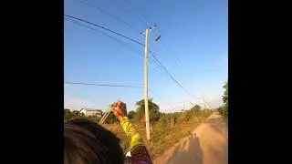 Slingshot Hunting Dove #hunting #birds #birdhunting #nakslingshot