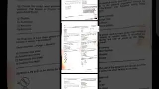 JKP SI Exam Question Paper 2022 | Jk Police SI Exam Solved Question Paper 2022