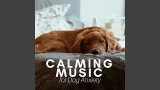Spa Music Collection