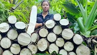 Harvest giant taro to bring to the market sell- Daily life,Gardening | Ma Thi Di
