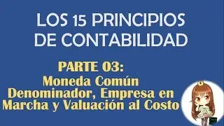 MONEDA COMÚN DENOMINADOR, EMPRESA EN MARCHA, VALUACIÓN AL COSTO - PRINCIPIOS DE CONTABILIDAD (PCGA)