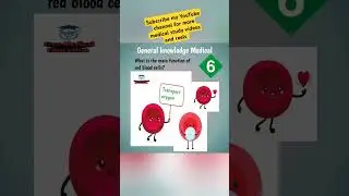 Function of Red blood cells@FreeMedicalEducation-ld3sf#medical#nursing#mbbs#viralshortsvideo#Viral