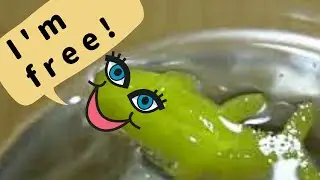 Magic Capsule Emerging 🐟 | World English School Today