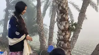 সাফিনের সুন্নতে খাতনা খেতে গিয়ে কুষ্টিয়ায় একটি অসাধারণ গ্রামে গিয়ে ছিলাম শীতের খেজুরের রস খেতে 