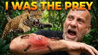 Alone in the Amazon: 21 Days of Survival