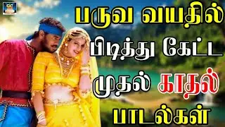 பருவ வயதில் பிடித்து கேட்ட முதல் காதல் பாடல்கள் | 80s Tamil Evergreen love songs | Ilayaraja Songs