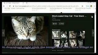 How to download royalty free image from Google ?