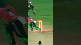 CRAZY wicket! 😱