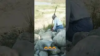 Dunya main Kitna gam Hai#viralvideo #shotsvideo #shotsfeed #searchvlog