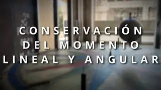 Curso de MECÁNICA ANALÍTICA | 15 Conservación del momento lineal y angular