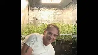 ❤️420family❤️$500 dollar cash giveaway video❤️#viral