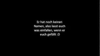 Ingos Song