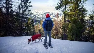 Top Quality Gear for Camping, Backpacking and Hiking & More
