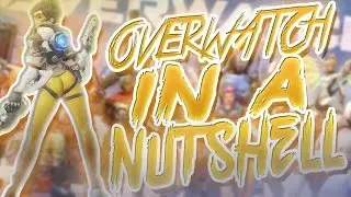 OVERWATCH IN A NUTSHELL