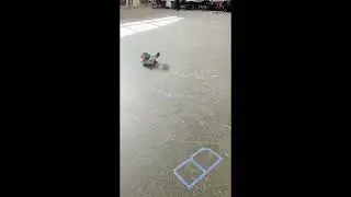 Can your pushbot do this?