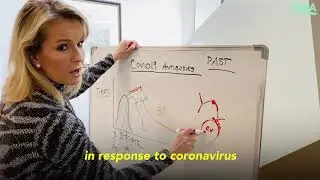 Here's everything you need to know about coronavirus antibodies l GMA Digital