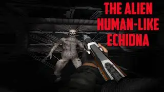 Portal of Doom: Undead Rising (Full Walkthrough)