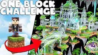 Лучший мир SKYBLOCK, созданный БЕЗ МОДОВ!