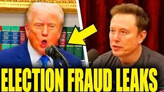 Trump Term Collapses As Elon Implicates Him In Election Fraud Leak
