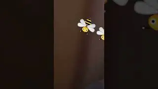 🐝🐝🐝🐝🐝🐝#shoft