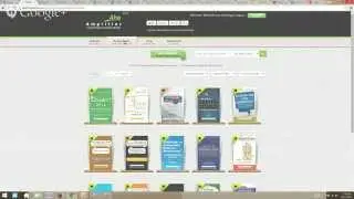 Interview with Mitchell Levy the Publisher of THiNKaha Books and the Aha Amplifier