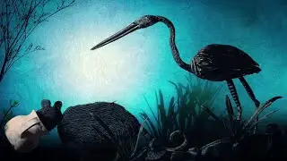 Fauna Tepoztl&aacute;n Animal Festival | Promo