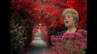 Neşe CAN-Meyle Teskin Eyle S&acirc;k&icirc; &Acirc;h-ı &Acirc;teş Z&acirc;rımı (HİCAZ)R.G.