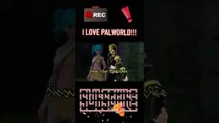 PalWorld To Super Wacky And I Love It!!!
