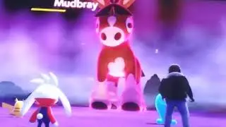 Pok&eacute;mon sword episode 5 seedot evolves