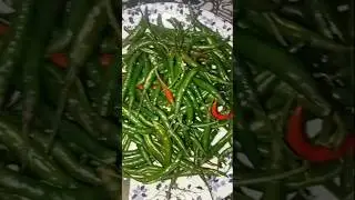 mirchi ka Achar