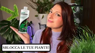 Piante bloccate in ACQUARIO? Usa ADVANCE di Seachem 🌿