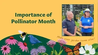 Why is Pollinator Month Important?
