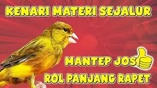 MATERI SEJALUR DURASI PANJANG BUAT MASTERAN KICAU MANTAP..!! #kenarirollpanjang #kenariisiansejalur