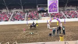 Equine Affaire 2025 Versatile Horse and Rider Competition 8th place finish!!