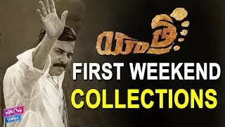 Yatra Movie First Weekend Collections | Mammootty | Tollywood | YOYO Cine Talkies