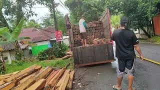 MUAT KAYU MANGLID