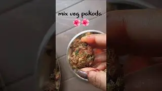 &ldquo;Crispy Mix Veg Pakoda 😍 | 5 Minute Tea Time Snack | #shorts&rdquo; #vegpakora #eveningsnacks