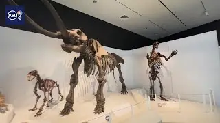 Национальный исторический музей предлагает уникальный взгляд на прошлое благодаря новой экспозиции.