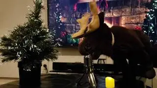 Mitchell the Moose   Away in a Manger