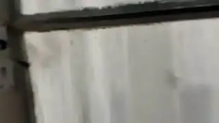 Sup fuckersss