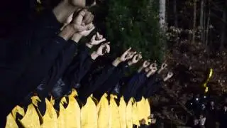Clemson U. Alpha Phi Alpha Pi Alpha Chapter Neophyte Show - MyStateProductions