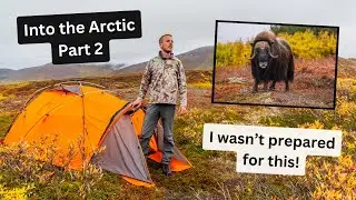 An Arctic Adventure, encounters with Muskox, Bears, Foxes & so much more. The trip of a lifetime!