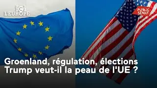 Groenland, régulation, élections : Trump veut-il la peau de l'UE ?